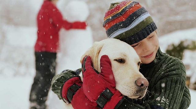 Protect your home and pets this winter child hugging dog snow